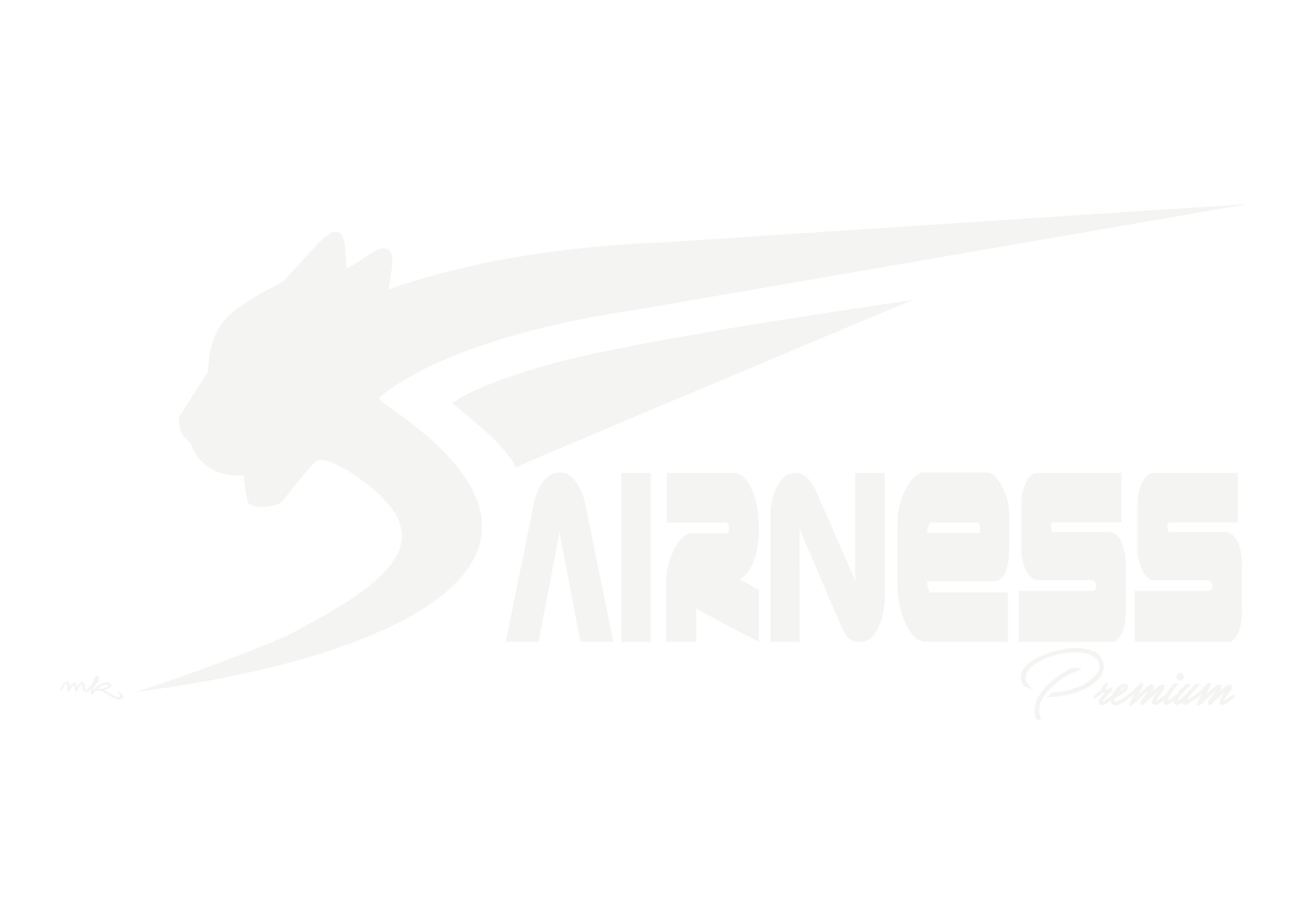 Logo Airness